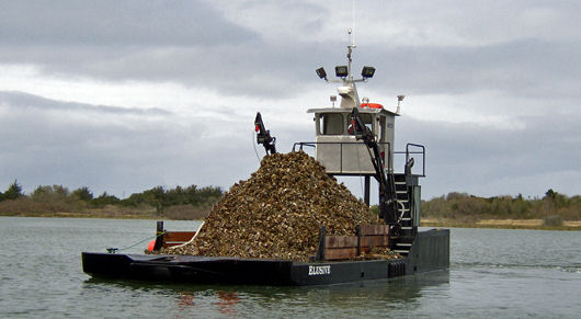 Oyster dredge Elusive fully loaded